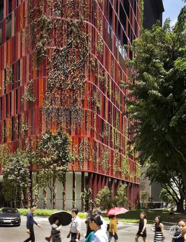 新加坡的生態(tài)建筑專業(yè)戶，又建了一個(gè)長滿綠植的酒店第6張圖片